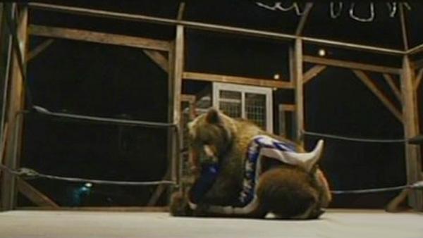 Rocky the bear and Will Ferrell