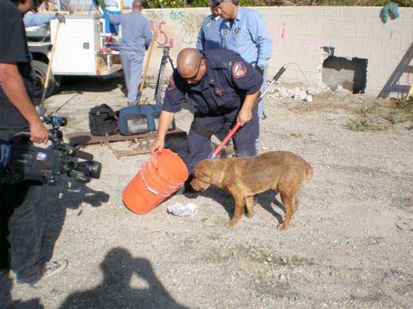 A Riverside County Animal Services officer...