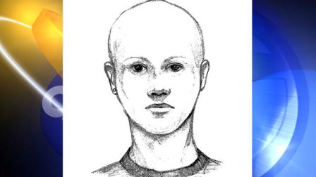 Police released a sketch of a suspect who attacked a 13-year-old Corona girl who was on her way home from school on Thursday, Nov. 18, 2010.
