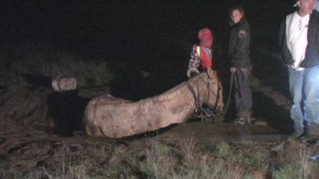 Mack, the horse, was mired in mud as he and his rider were trying to cross a flooded field in the Lake Mathews area on Tuesday, Dec. 28, 2010.
