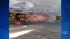 The dog, a Shar-Pei mix, was so stuck that the...
