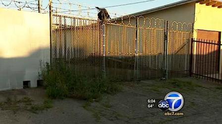 Police said the body of a newborn baby girl was discovered in trash bags in a San Bernardino alley Saturday.