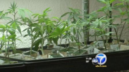 San Bernardino County proposed an ordinance outlawing the growing and selling of medical marijuana.