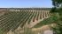 The Faulkner Winery offers tours, tastings and...