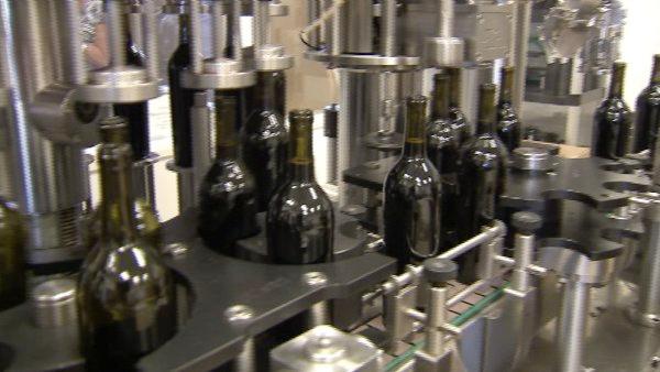 The award-winning South Coast Winery has a behind the scenes walking tour not to be missed.  At the end of the guided tour you get a cheese and wine plate, and if you mention ABC7 you'll get two for the price of one.