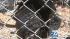 A black bear is resting comfortably at his new home at the Big Bear Rescue Zoo after being busted stealing honey.