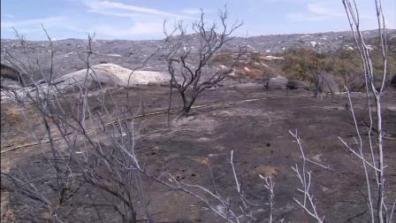 The aftermath of the Buck Fire in Riverside County is seen on Wednesday, Aug. 15, 2012.