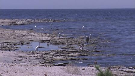 The Salton Sea is seen in this undated file photo.