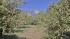 Surrounded by the San Bernardino Mountains and...