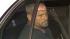 High-speed IE pursuit ends in freeway surrender :: The suspect who led authorities on a high-speed pursuit on Jan. 30, 2013.
