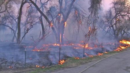 Trees and brush burn in Jurupa Valley in this 2013 photo.