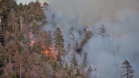 A brush fire burns in Big Bear north of Fawnskin on Saturday, April 20, 2013.