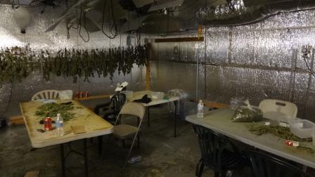 Officers from the San Bernardino County Sheriffs Department found a sophisticated marijuana growing operation inside an Apple Valley warehouse on Wednesday, July 10, 2013.