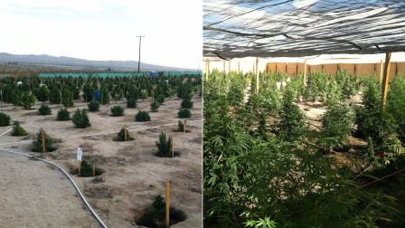 28853 Indian Trail growing operation (L), 28849 Indian Trail growing operation (R)