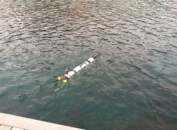 A robot goes in search of a shark. The robots...