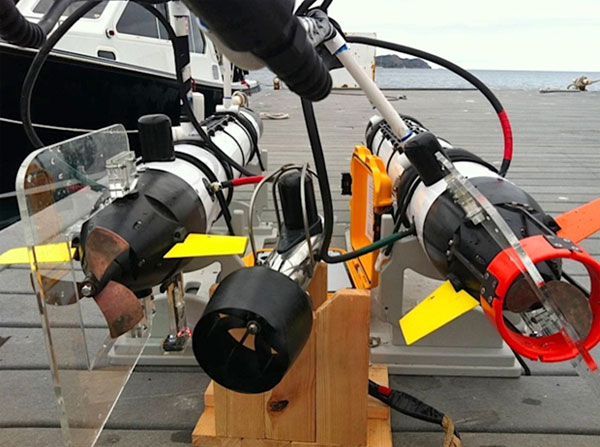 The specially-designed robots can measure water...