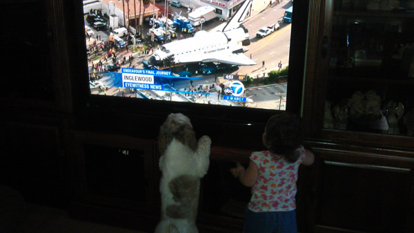On Sunday, Oct. 14, 2012, ABC7 viewer Tammie...