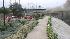 Truck driver dies after 91 fwy accidnet