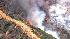 Brush fire near Getty in Sepulveda Pass