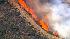 Brush fire near Getty in Sepulveda Pass