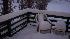 Big Bear