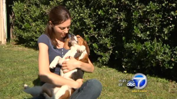 Kimberly Dreher is Freedom's new owner. She says life outside the lab has been an adjustment.