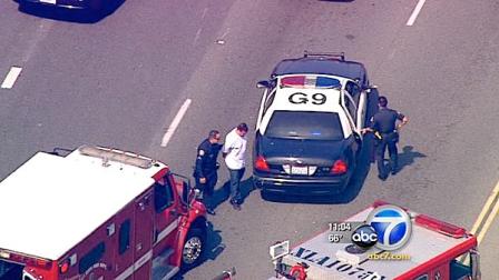 A police pursuit that wound its way through several cities ended with a crash and the arrest of a possible parolee.