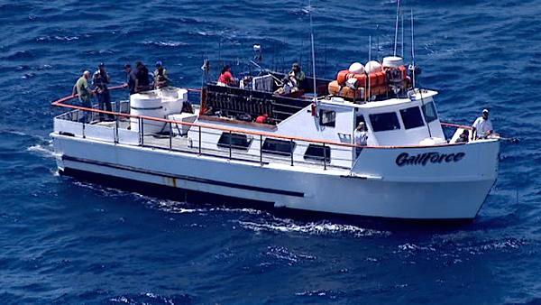 A pod of rare endangered blue whales was spotted swimming off the coast of California near San Pedro on Monday, August 01, 2011.