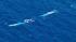 A pod of rare endangered blue whales was spotted...