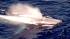 A pod of rare endangered blue whales was spotted...