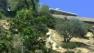 Residents living in the Burbank foothills have been put on alert of a roaming mountain lion in the area.