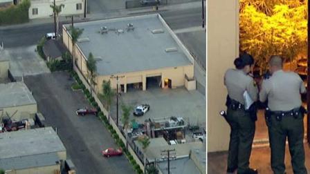 An investigation is under way in El Monte, where several marijuana plants were discovered in a building Monday.