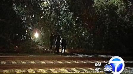 A suspected hit-and-run driver who attempted to evade police was caught after falling out of a tree Tuesday morning.