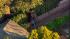 A 400-pound black bear roamed around a Montrose...