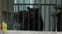 A 400-pound black bear roamed around a Montrose...
