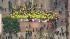 Protesters for immigration rights march down...