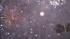 Fireworks are seen in the sky outside the Rose...