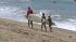 Visitors beat the heat along the coast :: Three beachgoers are seen carrying surfboards on a beach in Orange County during a heat wave on Friday, August 10, 2012.