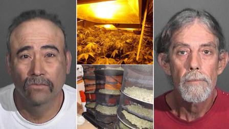 The Los Angeles County Sheriffs Department made two arrests and seived about 1,000 marijuana plants and 40 pounds of processed marijuana product at a home in Hidden Hills on Wednesday, Aug. 29, 2012.