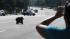 A bear runs down the street near La Crescenta in...