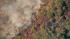 Firefighters are seen battling a blaze in the...