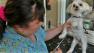 A worker at a pet grooming business in West Los Angeles on Tuesday, Sept. 18, 2012.