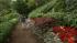Thousands of people have walked on the grounds,...