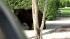 A mama bear and baby bear wandered around near...