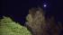 LA fire crews monitor high winds overnight :: Trees are seen blowing in the wind.