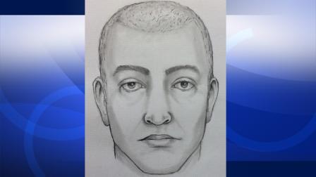 Police released this composite sketch of a suspect wanted in a hit-and-run in Los Angeles on Sunday, Nov. 4, 2012.