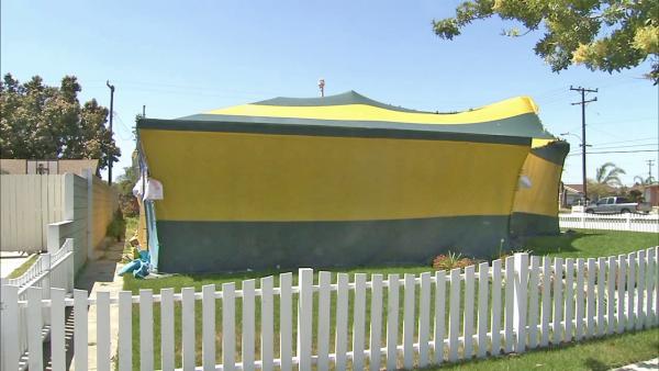 A house tented for fumigation is seen. Burglaries during fumigations are a startling new trend in the Southland. That's what's bugging you.