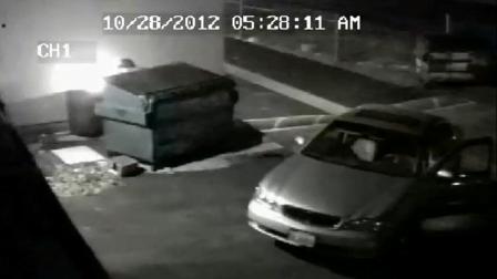 Police are searching for the arsonist responsible for intentionally setting 12 fires in the San Fernando Valley.