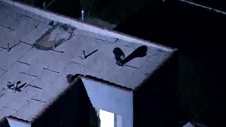A suspect was arrested after jumping from roof to roof in Jefferson Park on Wednesday, Jan. 23, 2013.