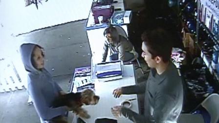 Surveillance video shows a woman returning a stolen 4-month-old Yorkshire terrier in Woodland Hills on Sunday, Jan. 27, 2013.